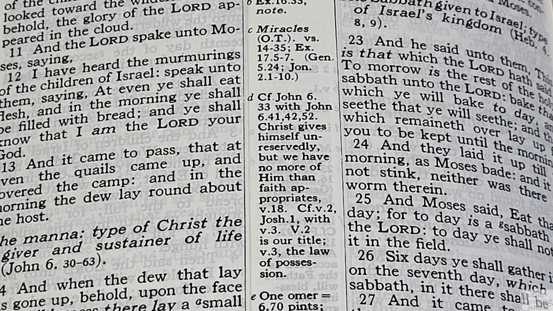 KJV Wide Margin Classic Study Bible in Goatskin - Bible Buying Guide