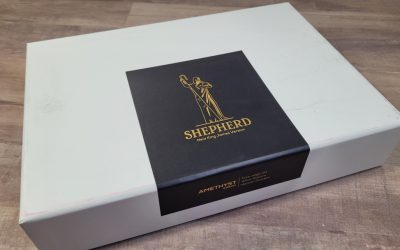 Humble Lamb NKJV Shepherd Bible Review