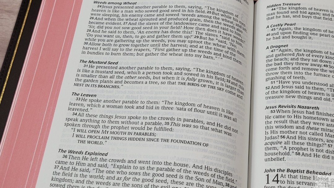 Prime Edition NASB Large Print Compact Bible (19) Bible Buying Guide
