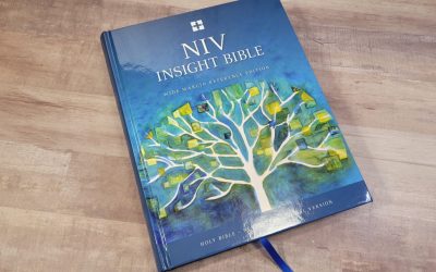 NIV Insight Bible Review