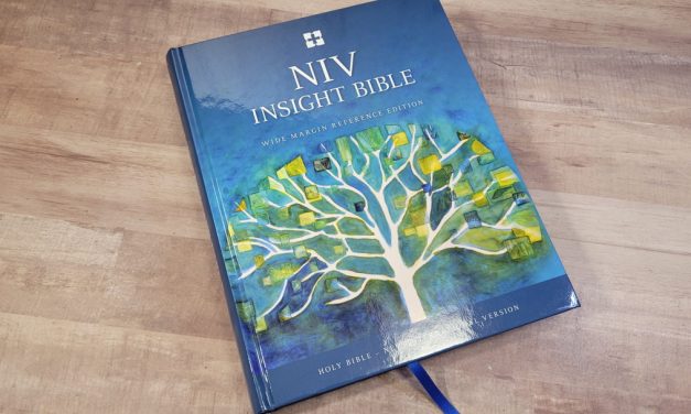 NIV Insight Bible Review