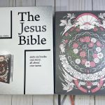 The Jesus Bible Artist Edition NIV Review