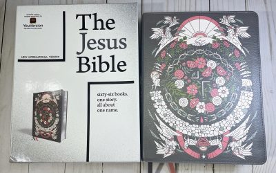 The Jesus Bible Artist Edition NIV Review