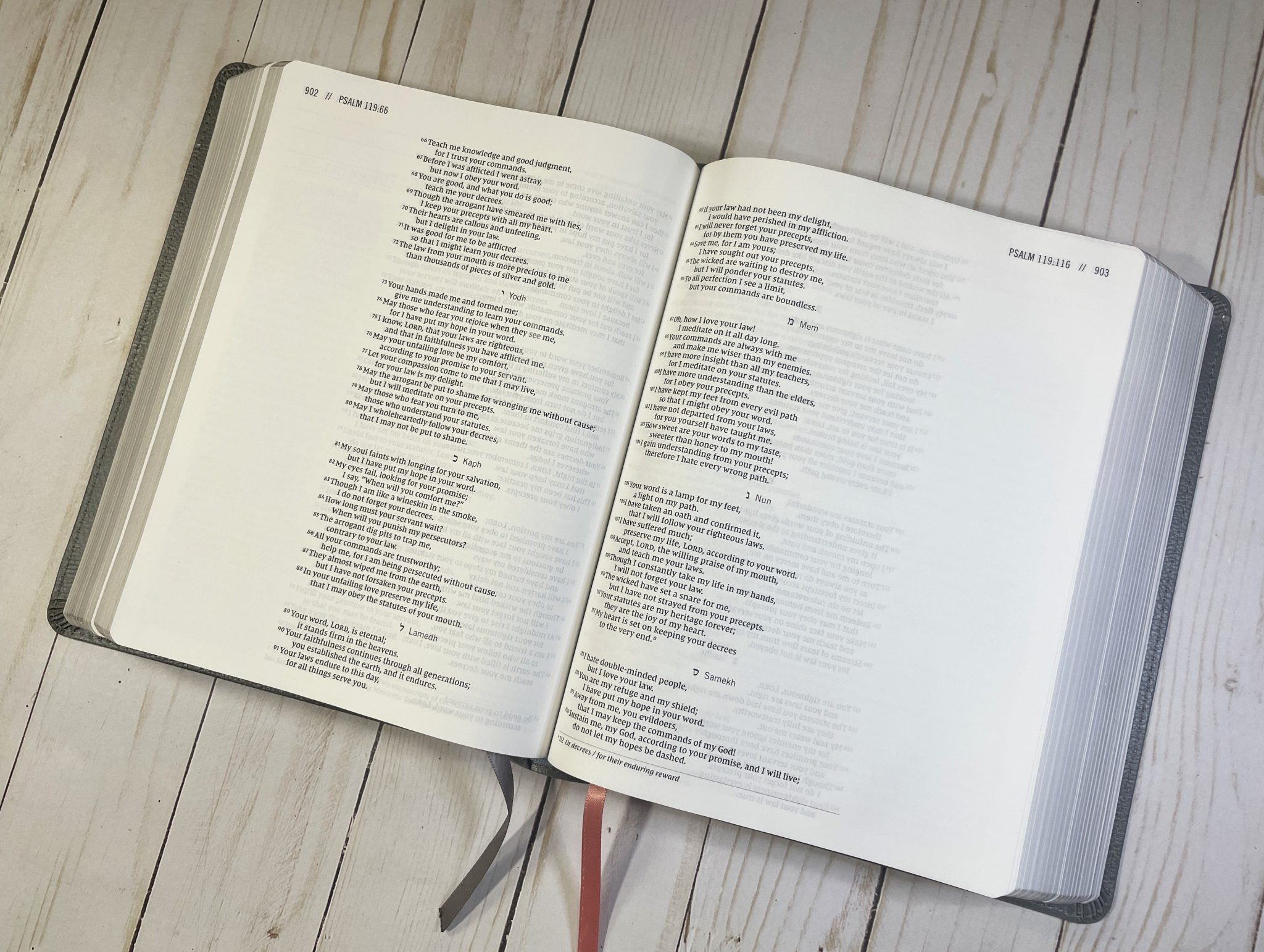 The Jesus Bible Artist Edition (45) - Bible Buying Guide