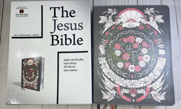 The Jesus Bible Artist Edition NIV Review