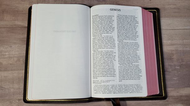 NASB Reference Bible Prime Edition And Leathertex Review - Bible Buying ...