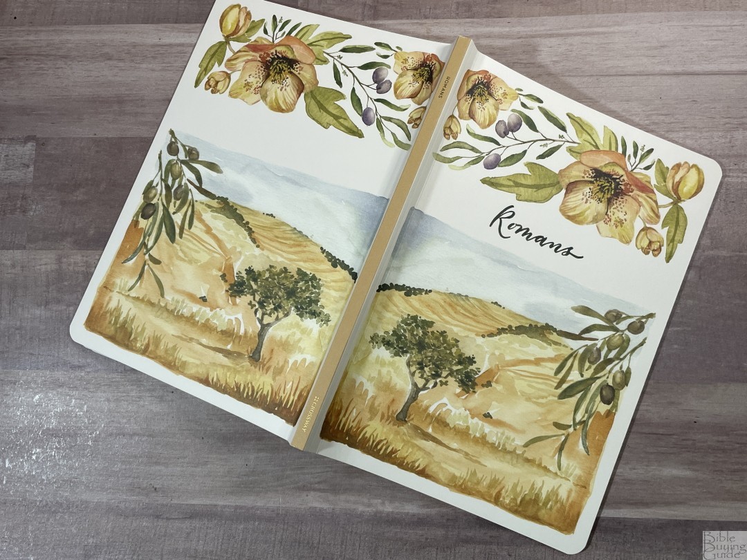 ESV Scripture Journal Set with Art by Ruth Chou Simons - Bible