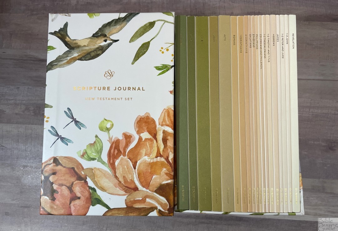 ESV Scripture Journal Set with Art by Ruth Chou Simons