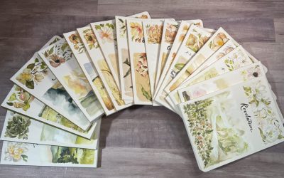 ESV Scripture Journal Set with Art by Ruth Chou Simons