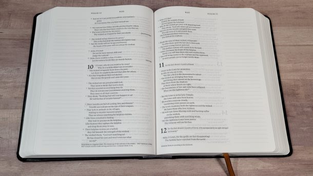 NLT Wide Margin Bible Filament Edition Review - Bible Buying Guide