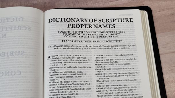 dictionary of bible themes for bible analyzer