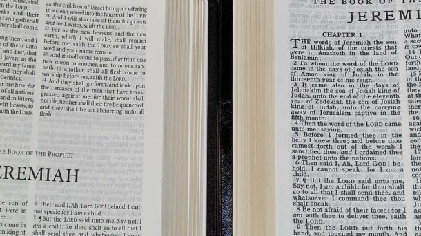 TBS Windsor KJV Bible Review - Bible Buying Guide