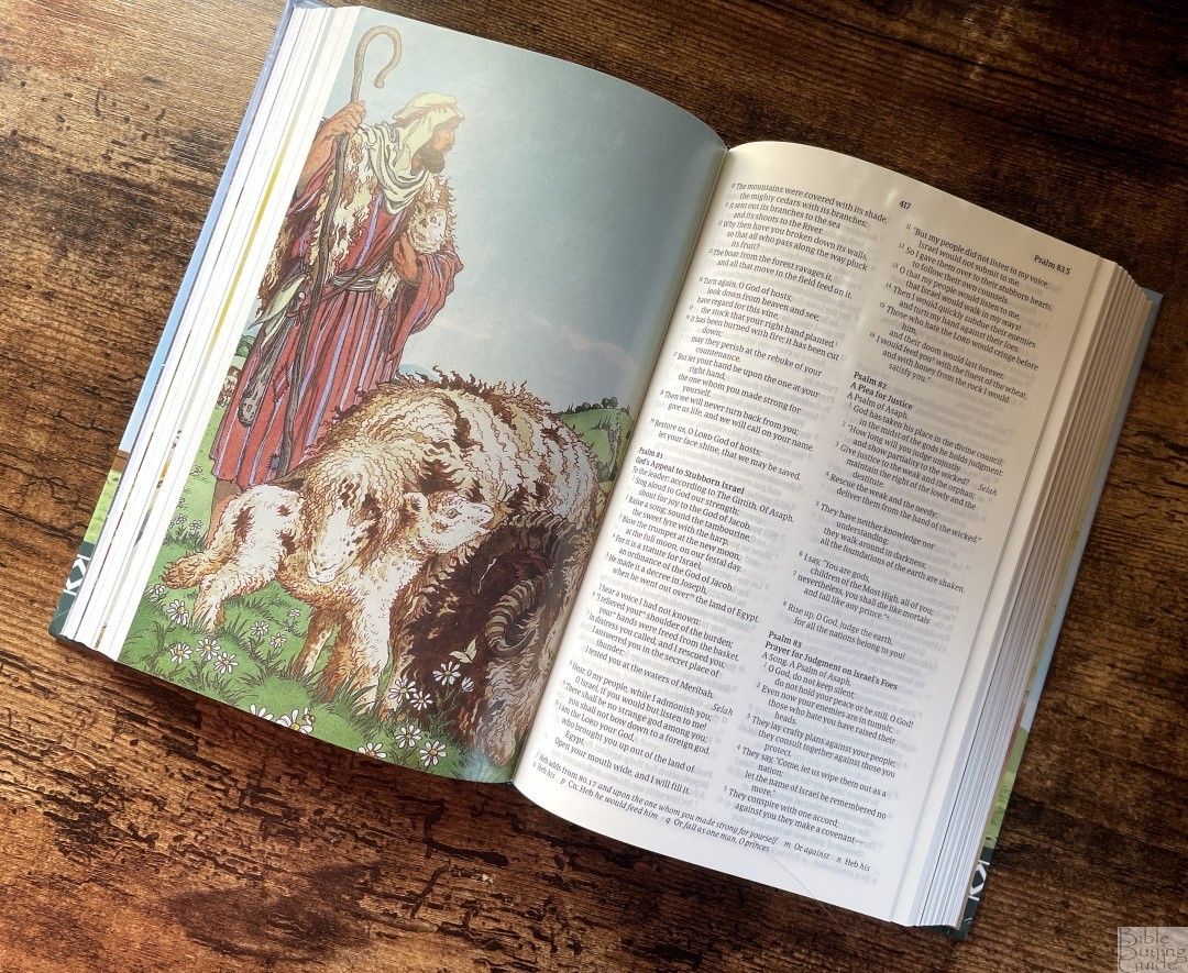 NRSV Updated Edition Children's Bible Picture of Shepherd