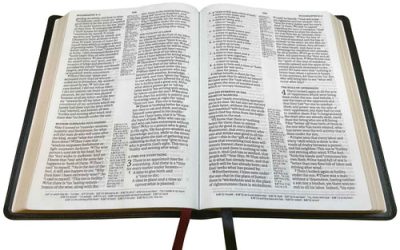 BBG Giveaway Winner Announced – NASB 2020 Large Print Ultrathin Reference Bible