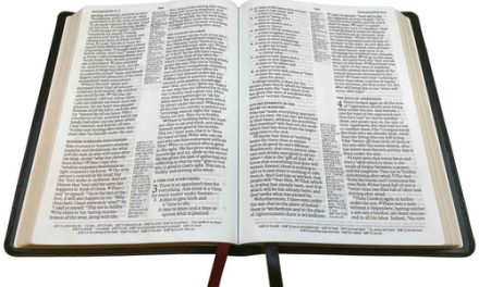 BBG Giveaway Winner Announced – NASB 2020 Large Print Ultrathin Reference Bible