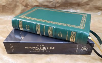 NIV Personal Size Bible Large Print Premier Collection Bible Review