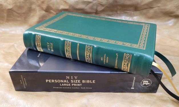 NIV Personal Size Bible Large Print Premier Collection Bible Review