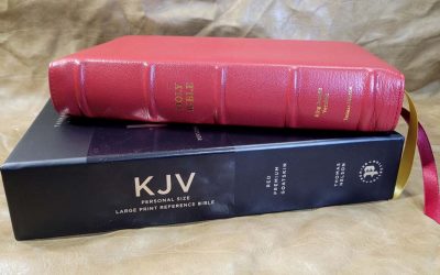 Premier Collection KJV Personal Size Large Print Reference Bible Review