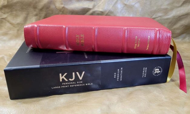 Premier Collection KJV Personal Size Large Print Reference Bible Review