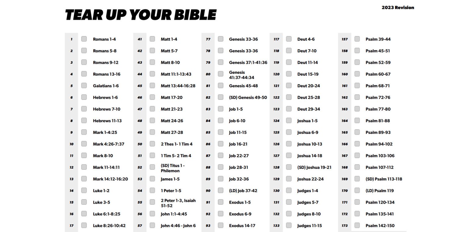 tear-up-your-bible-2023-bible-buying-guide