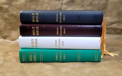 Berean Standard Bible Review