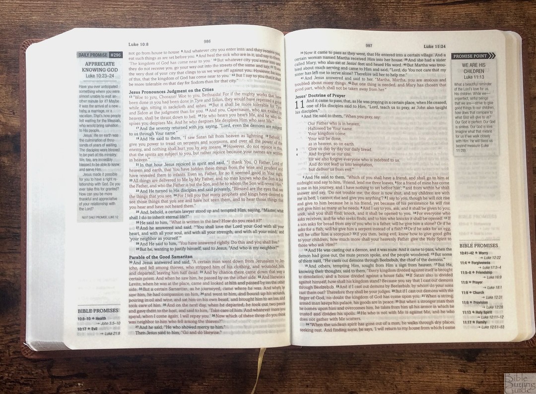 Simplified KJV Bible Promise Edition Text