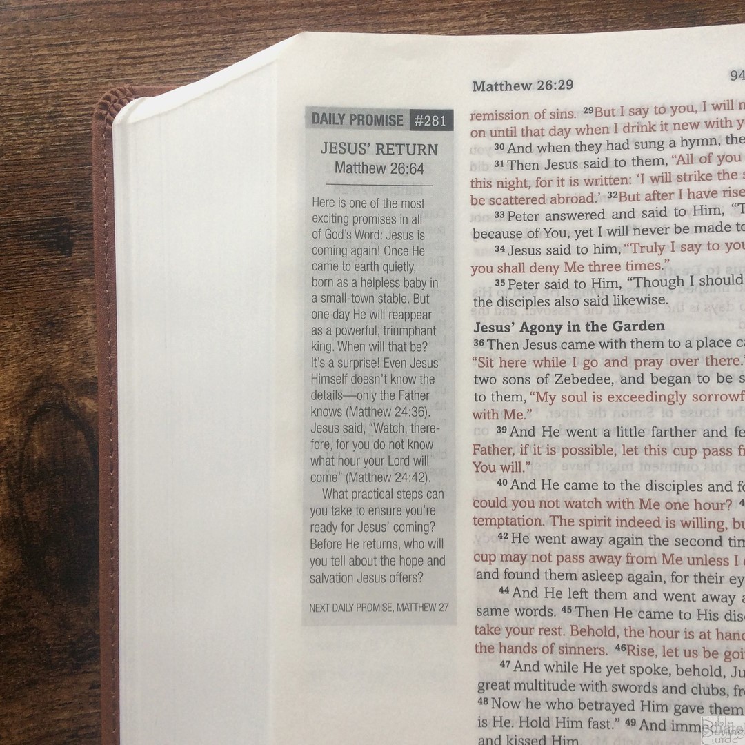 Simplified KJV Bible Promise Edition Daily Promise