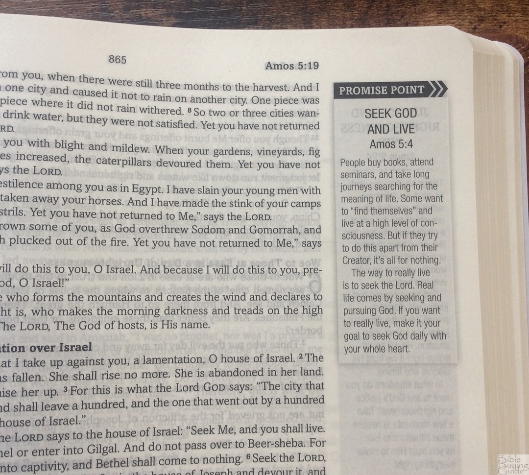 Simplified KJV Bible Promise Edition Promise Point