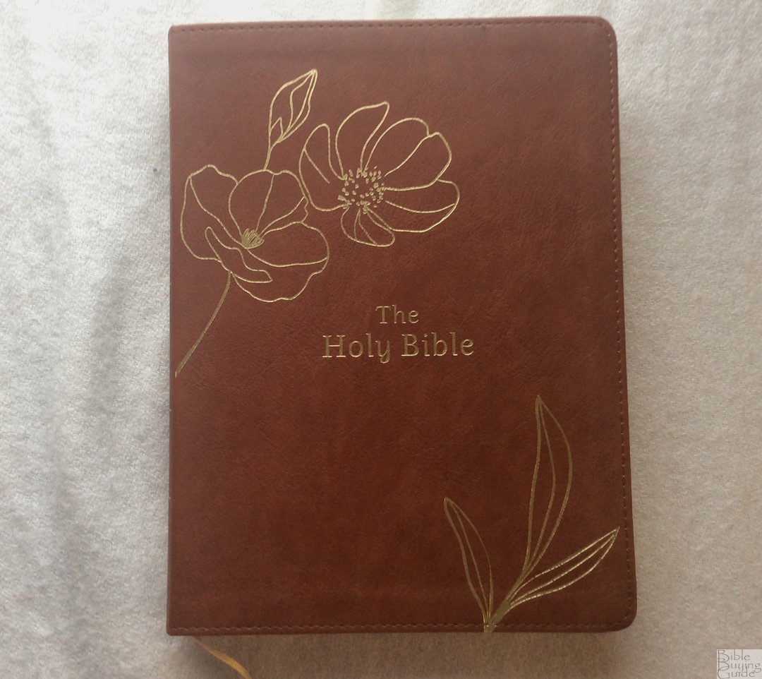 Simplified KJV Bible Promise Edition Cover