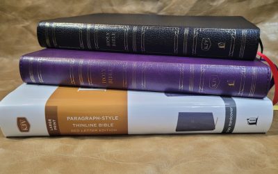 KJV Paragraph-Style Large Print Thinline Bible Review