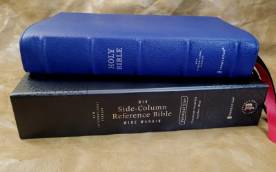 NIV SCR Bible Wide Margin Premier Collection Review