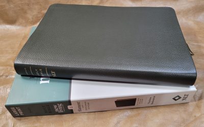 NLT Large Print Thinline Filament Edition Bible in Olive Green Leather Review