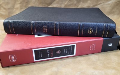 NKJV Large-Print Thinline Reference Bible Maclaren Series