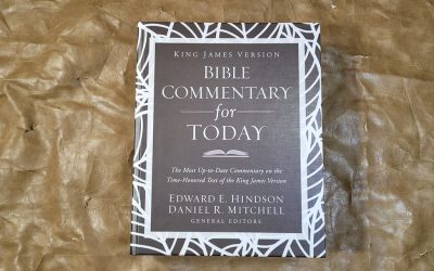 Bible Commentary for Today