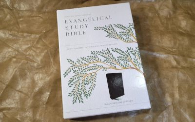 Evangelical Study Bible Review