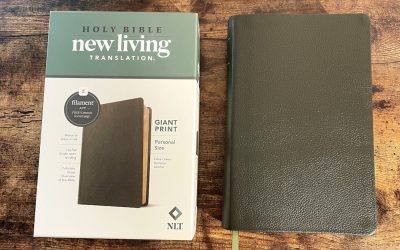 NLT Giant-Print Personal-Size Bible, Filament Enabled Edition