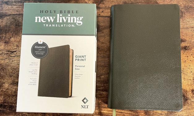 NLT Giant-Print Personal-Size Bible, Filament Enabled Edition