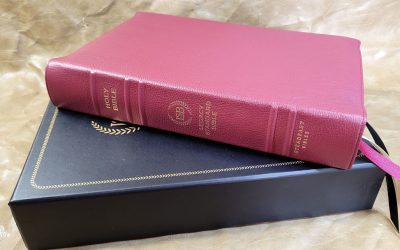 LSB Giant Print Reference Bible in Burgundy Goatskin Review
