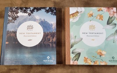 NLT One Year Bible NT Illustrated Edition Review