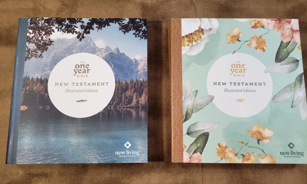 NLT One Year Bible NT Illustrated Edition Review
