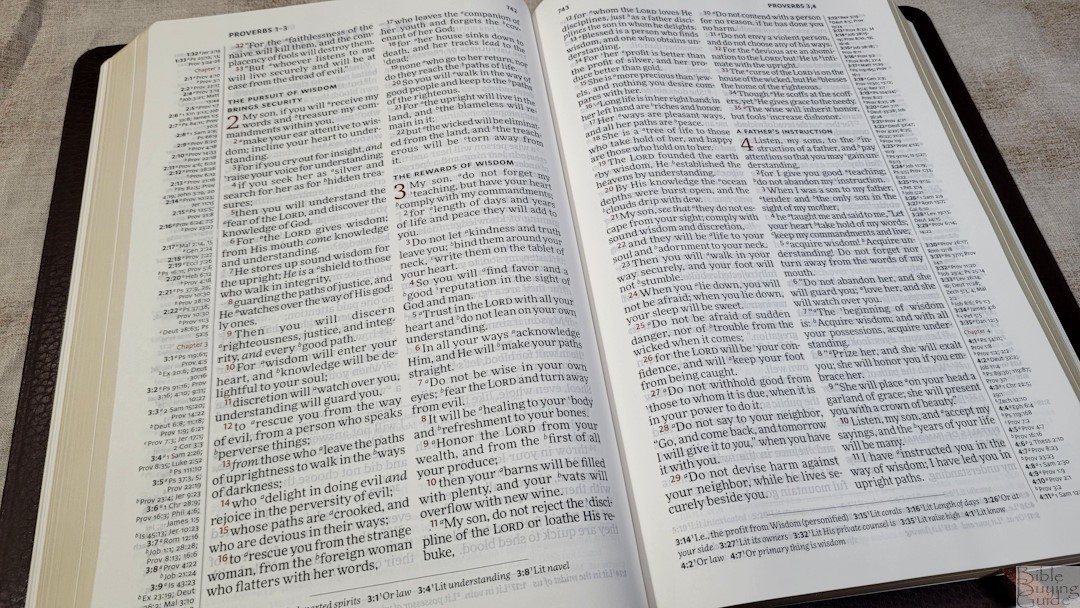 NASB Topaz (7) - Bible Buying Guide