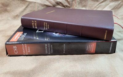 Cambridge CSB Diadem Bible Review