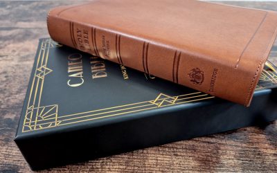 Cambridge Cameo Centenary Edition Review