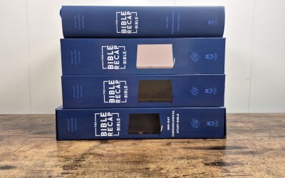 The Bible Recap 365-Day Chronological Study Bible ESV