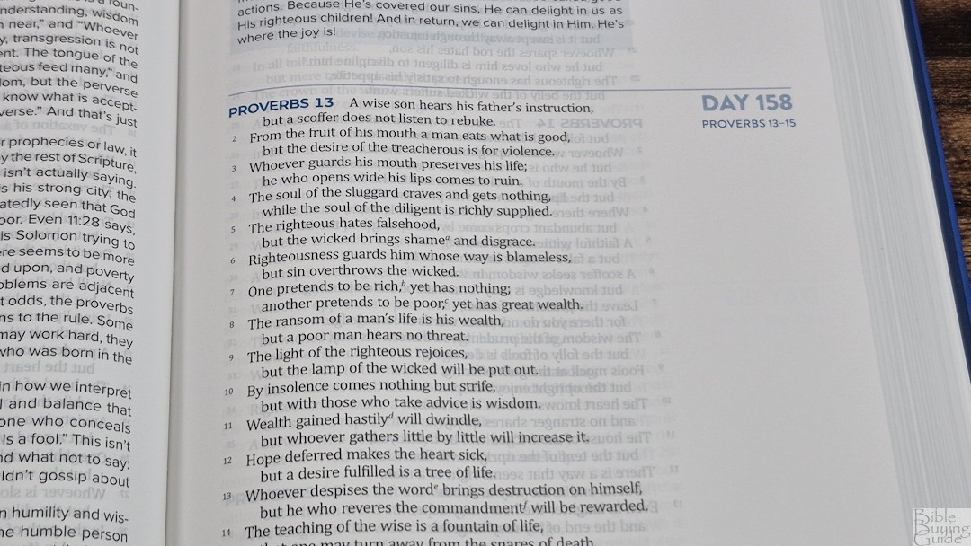 The Bible Recap 365-Day Chronological Study Bible ESV (21) - Bible ...