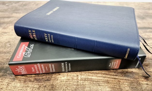 Cambridge NRSVue Diadem Bible Review